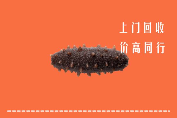 高价求购：昌邑回收海参