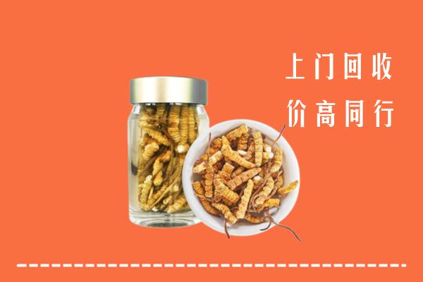 昌邑回收冬虫夏草